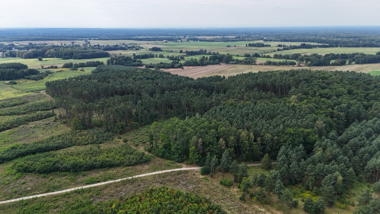 Na sprzedaż działki rekreacyjne w lesie-50 minut od Wrocławia!